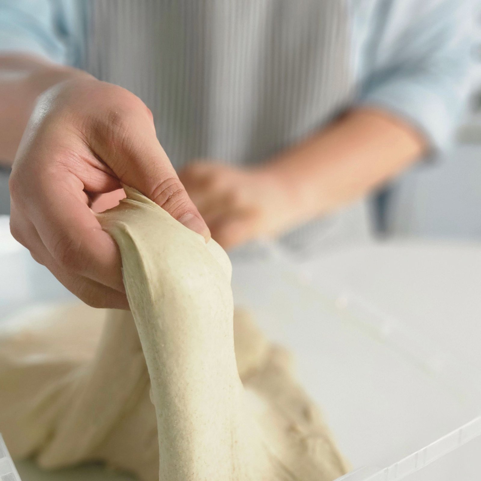 Hands working bread dough